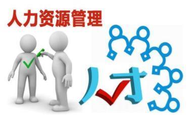 文科530分報(bào)考人力資源管理專業(yè)指南與人力資源信息咨詢